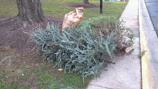 Christmas-tree-recycle