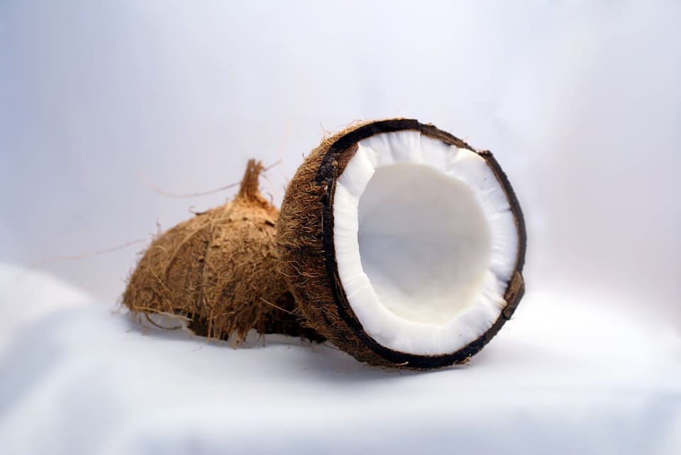 coconut-1125_960_720