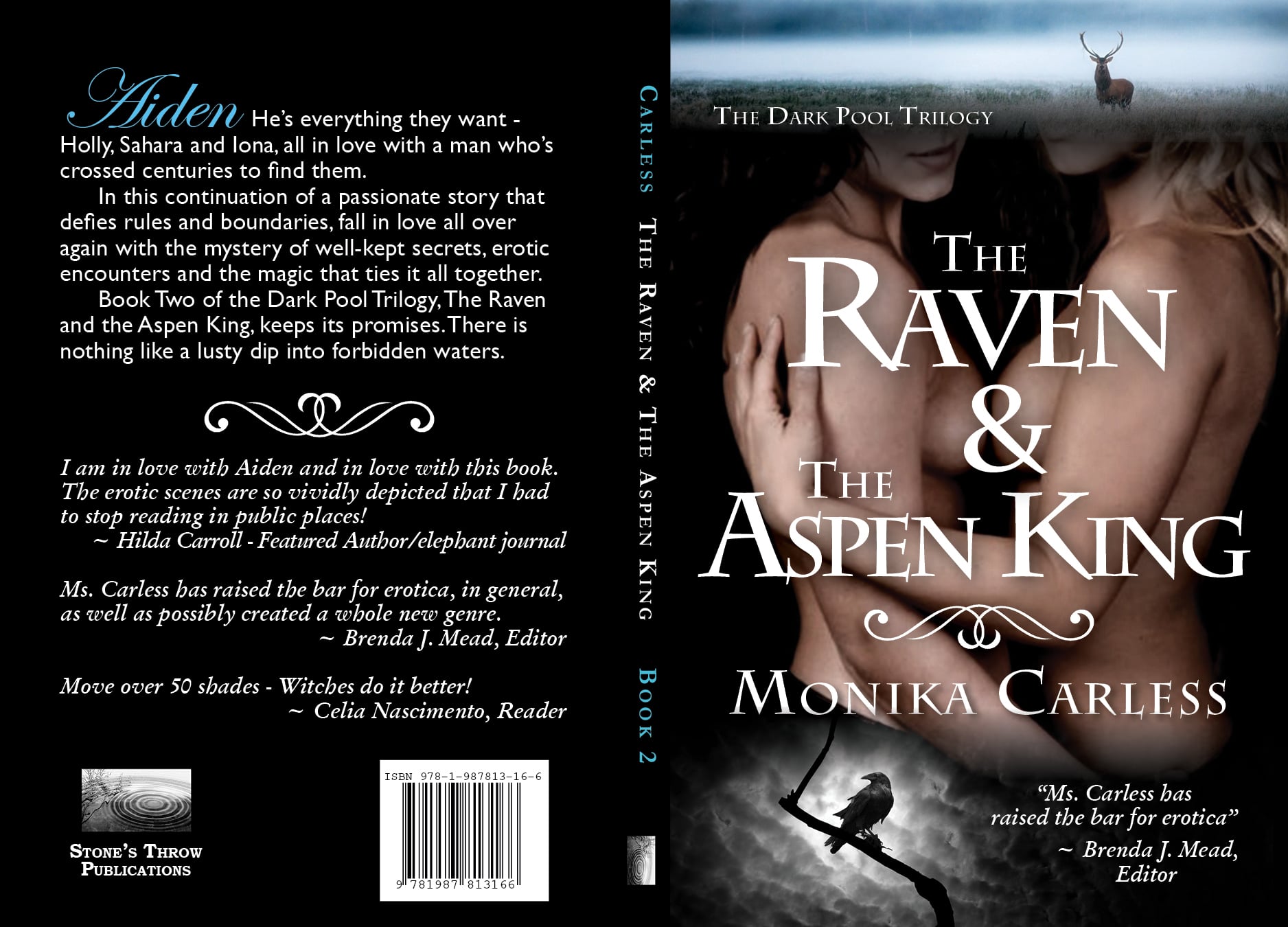 2017-02-03-carless-the-raven-final-kindle