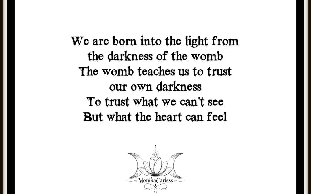 What the Womb Can Teach Us…